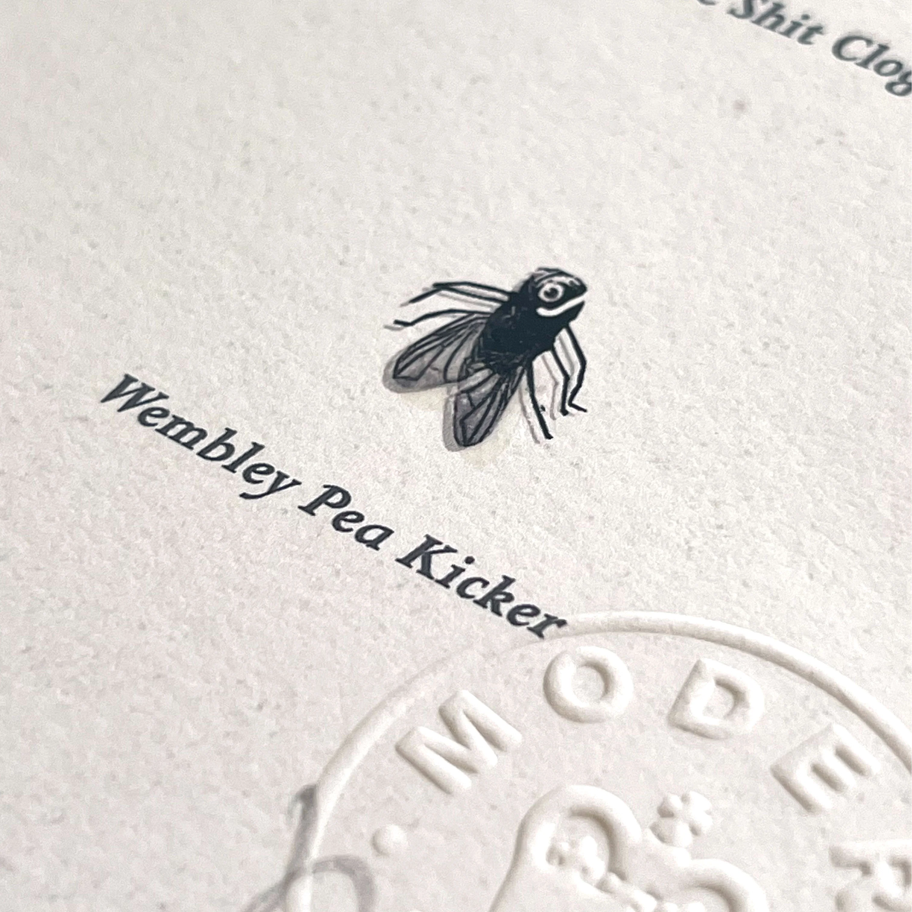Flies of British Isles Print - Image 2