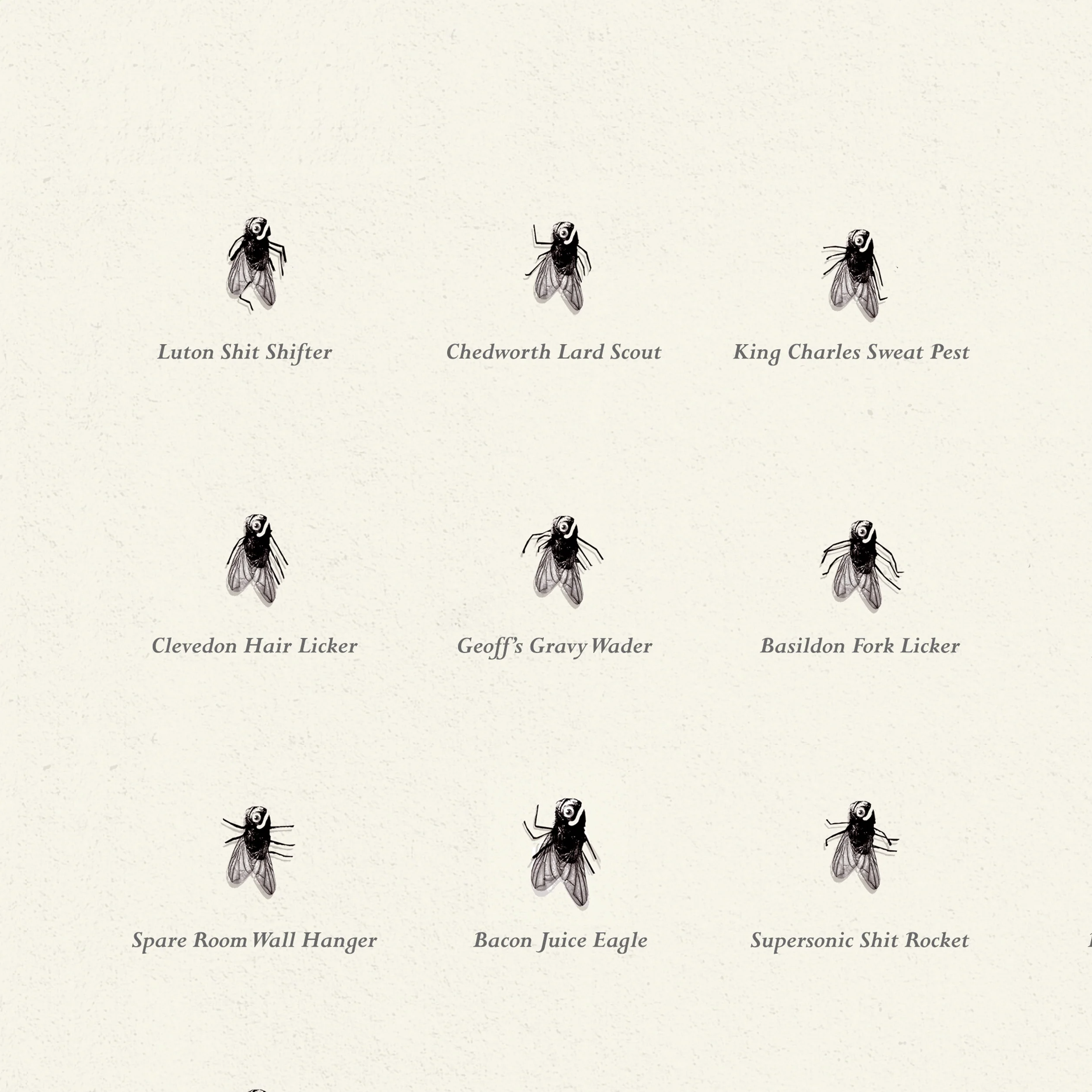 Flies of British Isles Print - Image 3