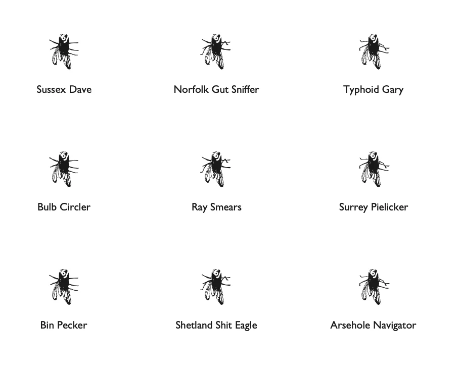 Flies of the British Isles Tea Towel - Image 4