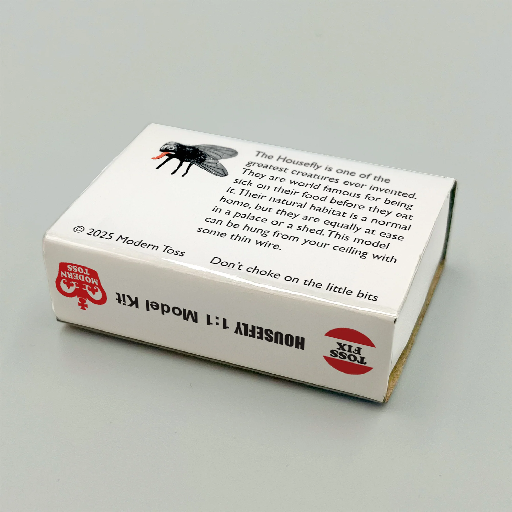 Housefly Model Kit - Image 2