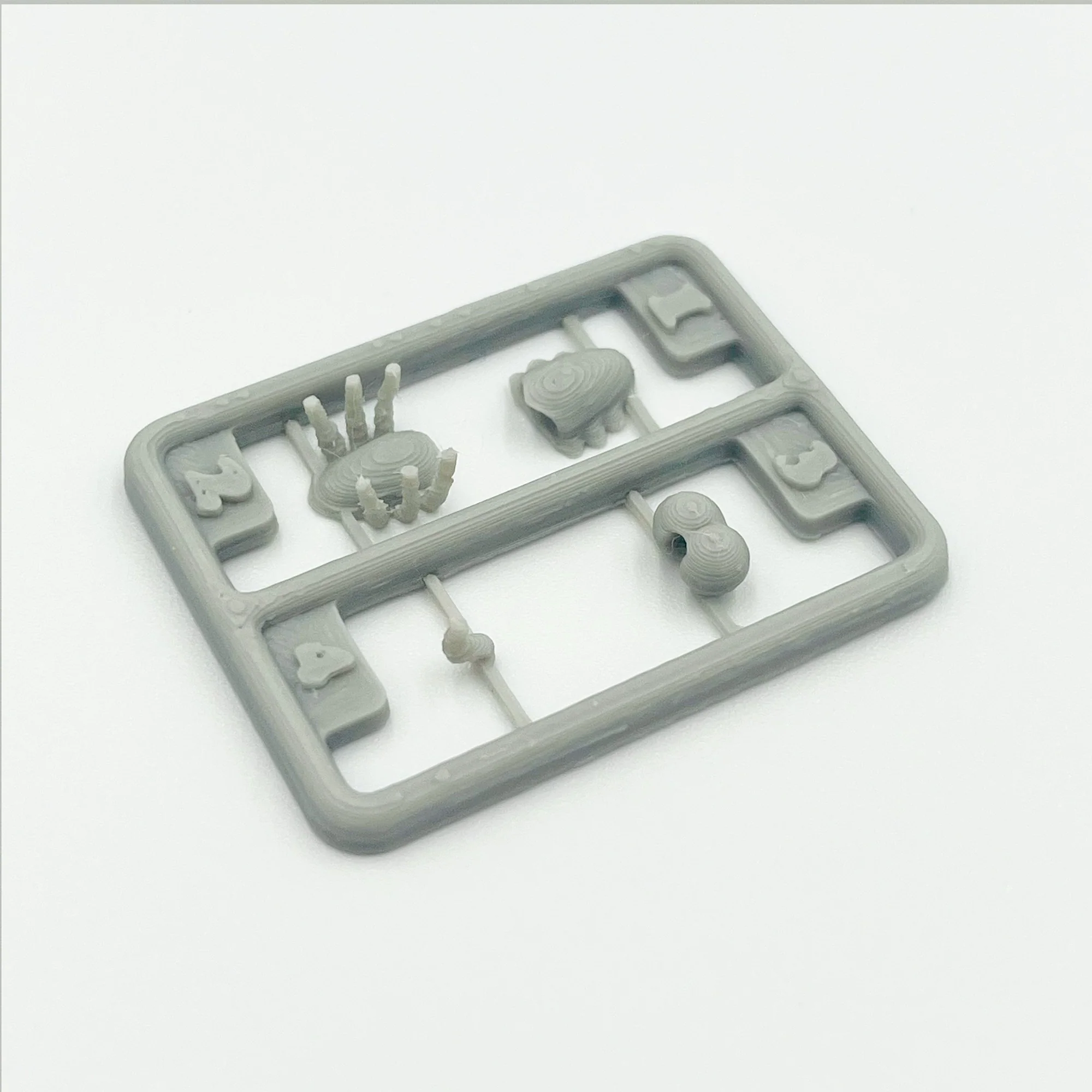 Housefly Model Kit - Image 3