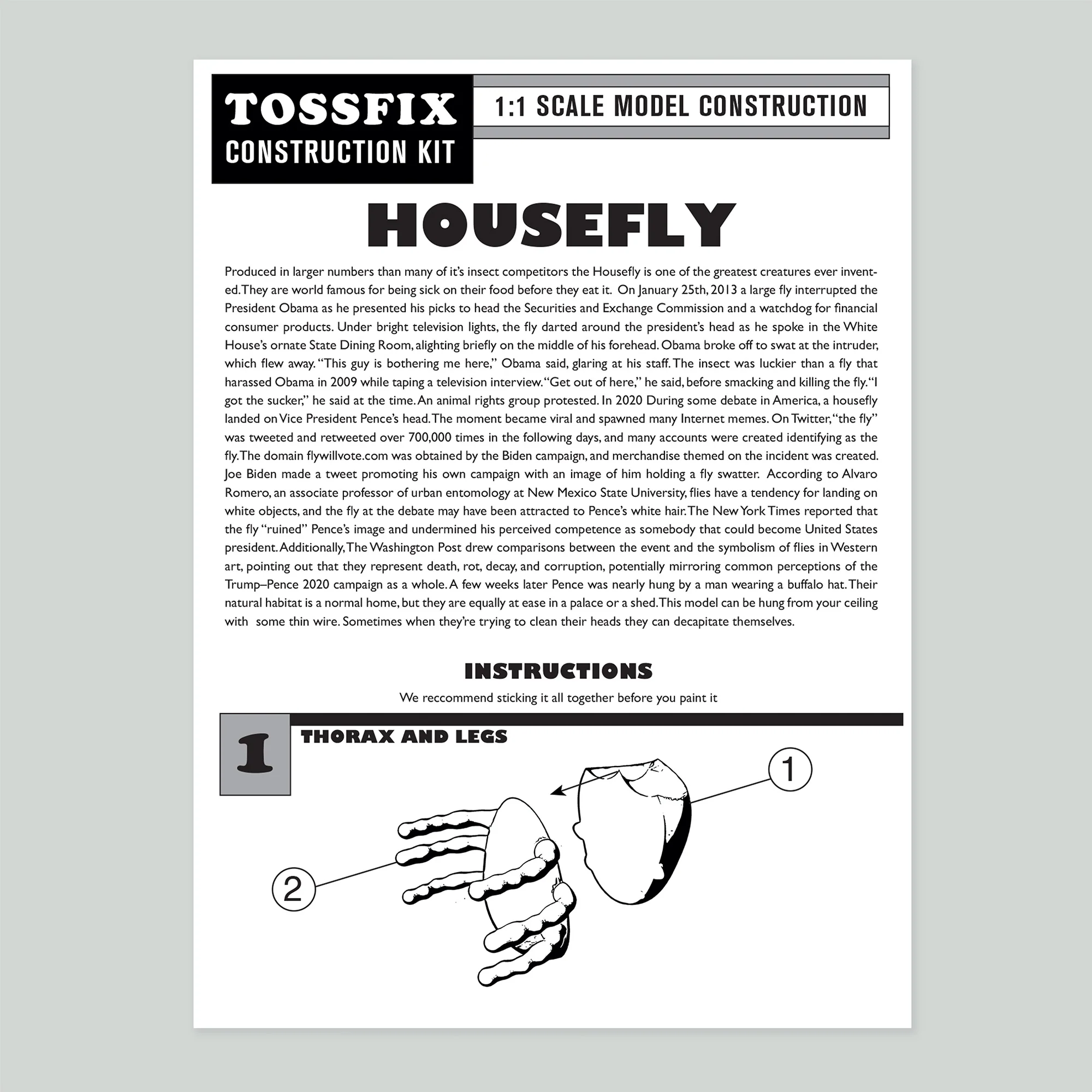 Housefly Model Kit - Image 6