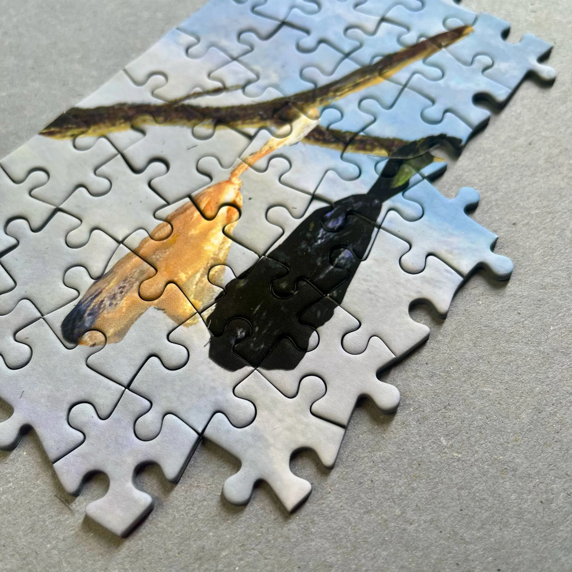 Shitscape Jigsaw - Image 2